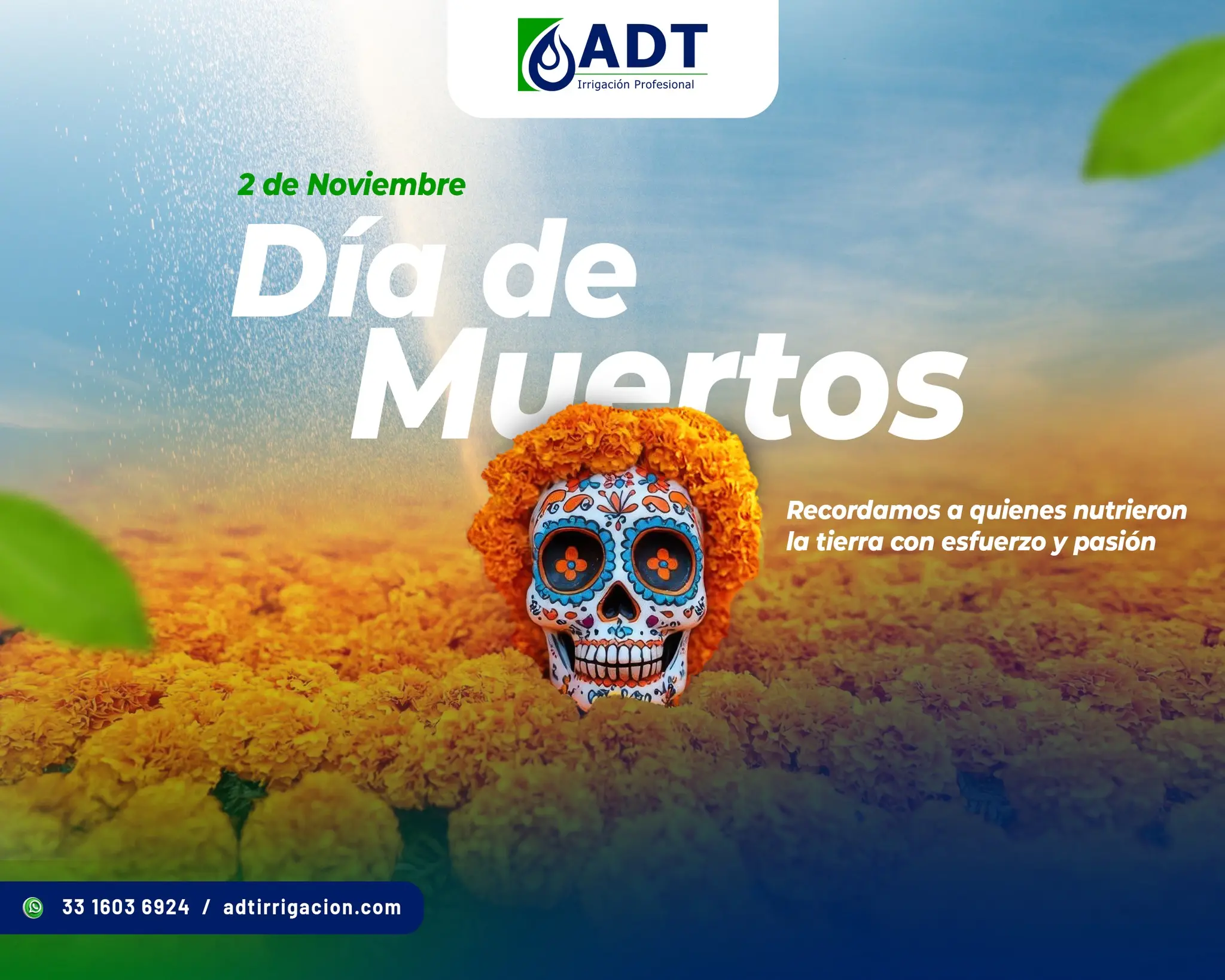 ADT 5