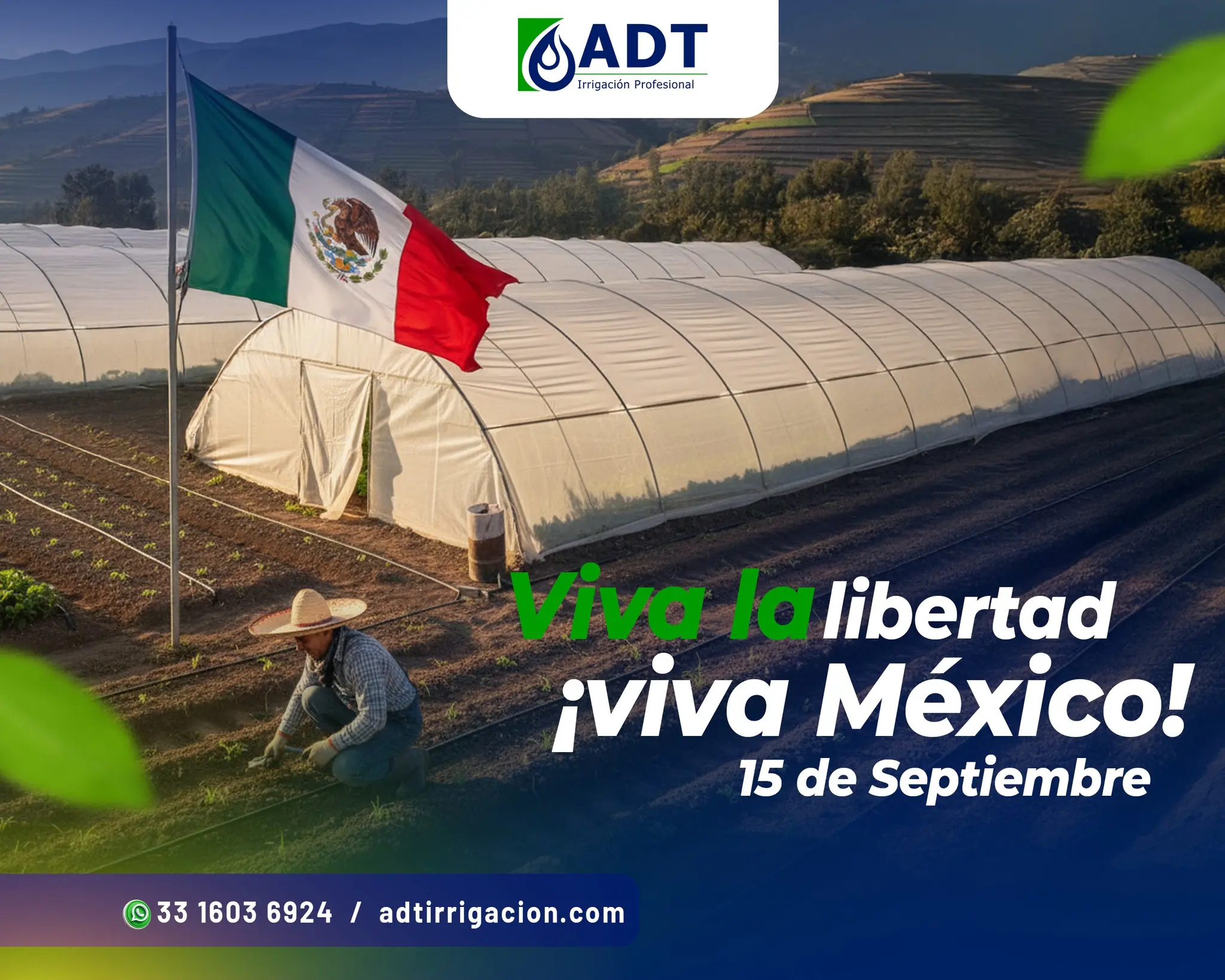 ADT 6