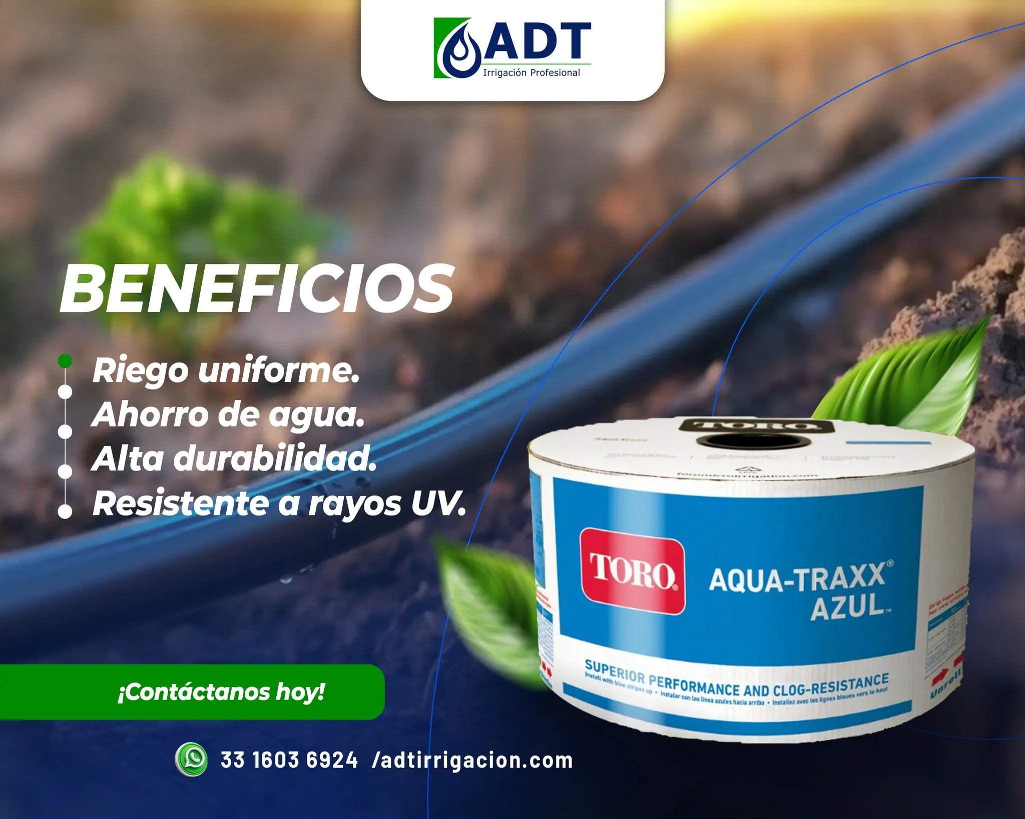 ADT 8