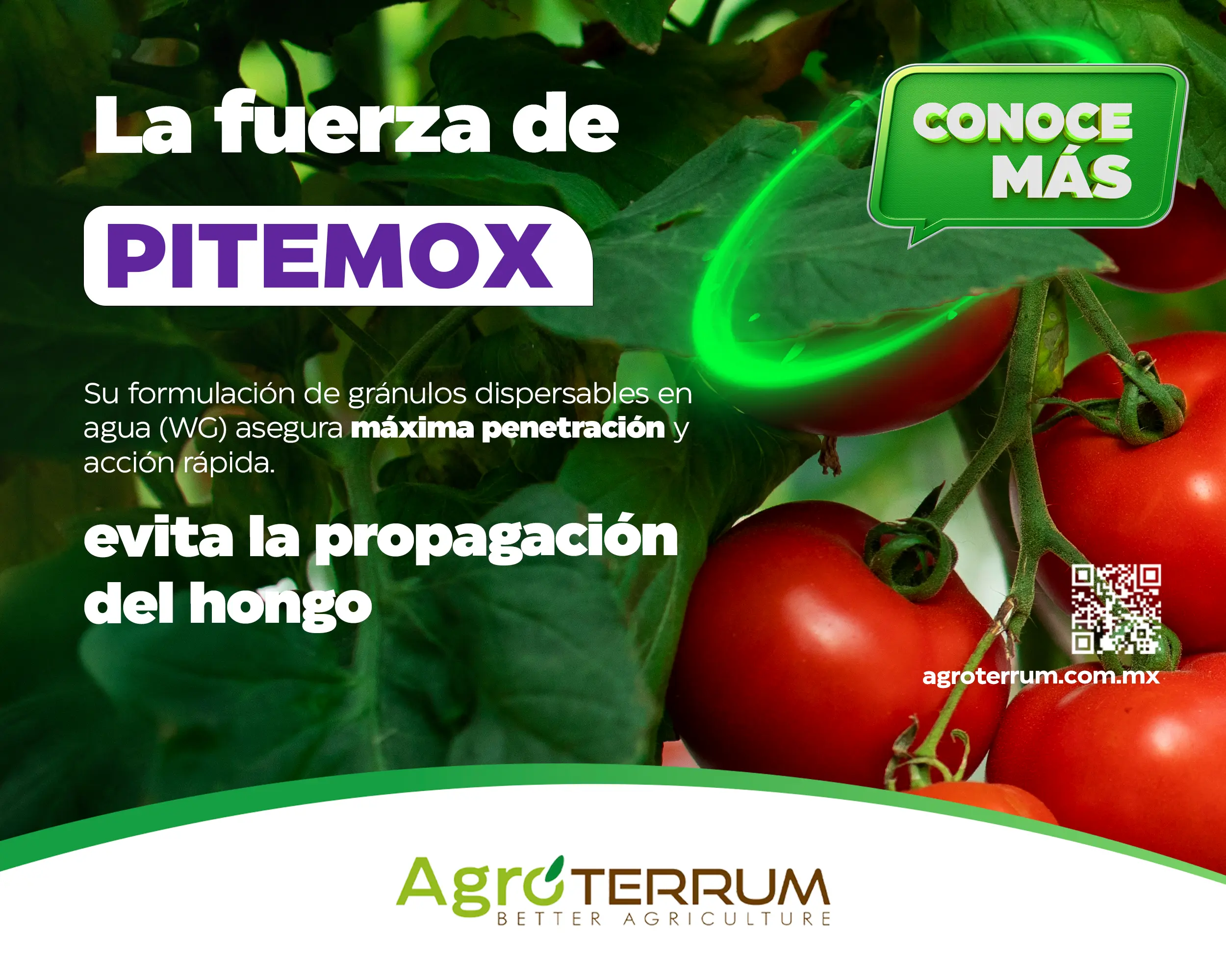 AGROTERRUM 4