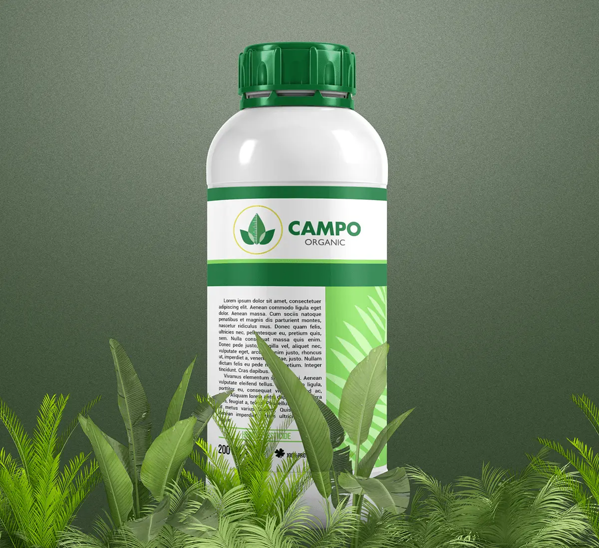 CAMPO ORGANIC 3