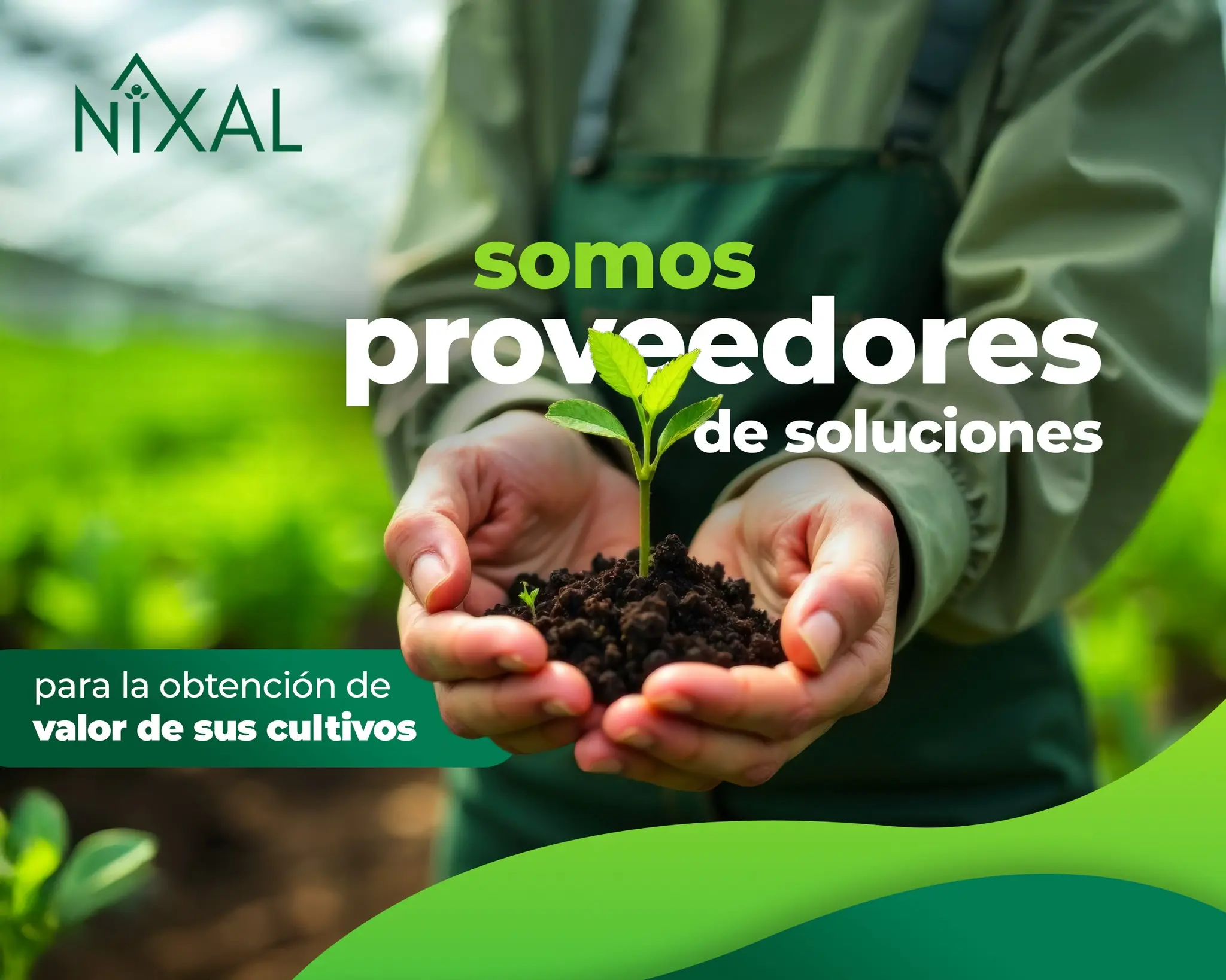 NIXAL 11
