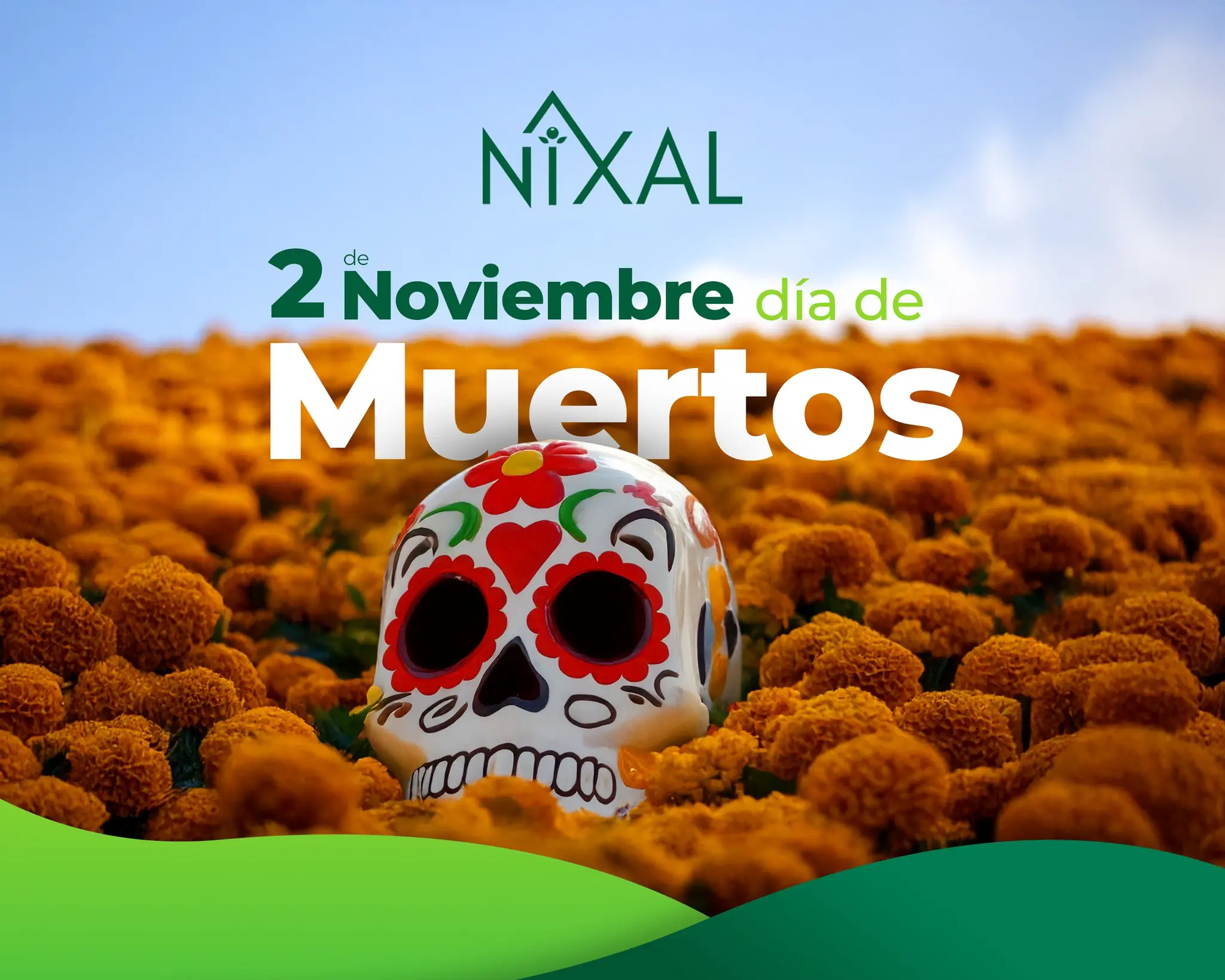 NIXAL 12