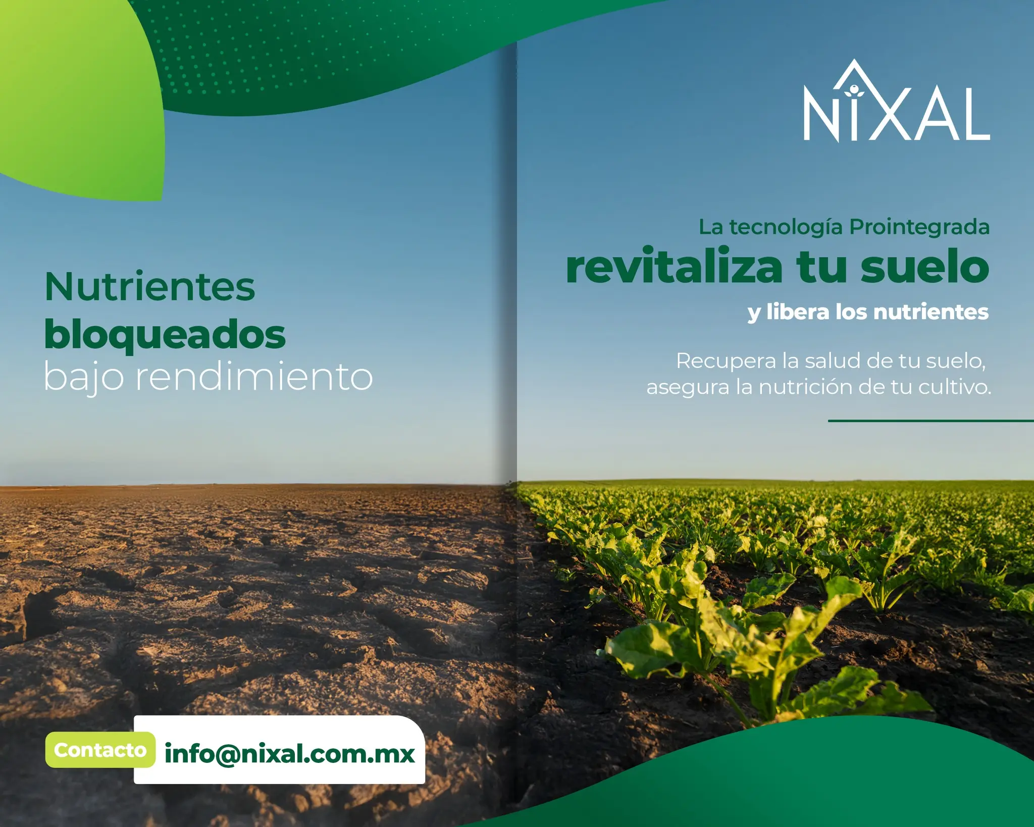 NIXAL 13