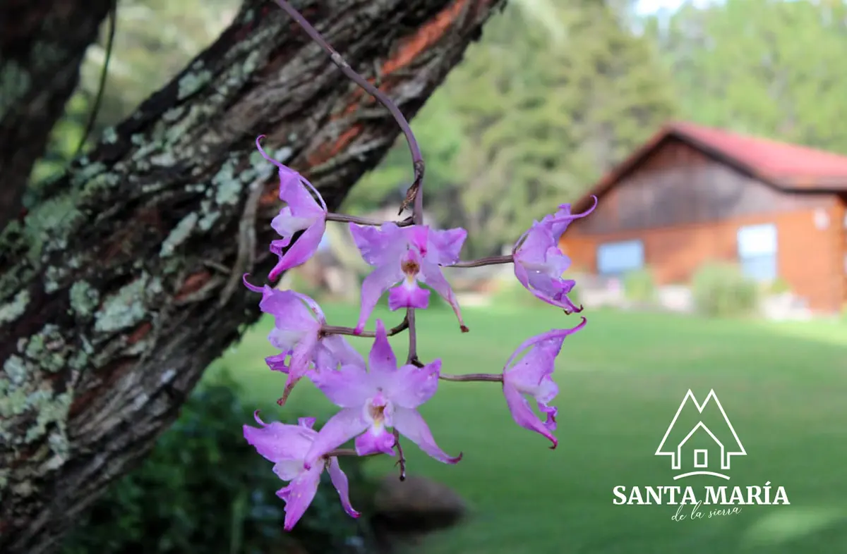 SANTA MARÍA DE LA SIERRA 4
